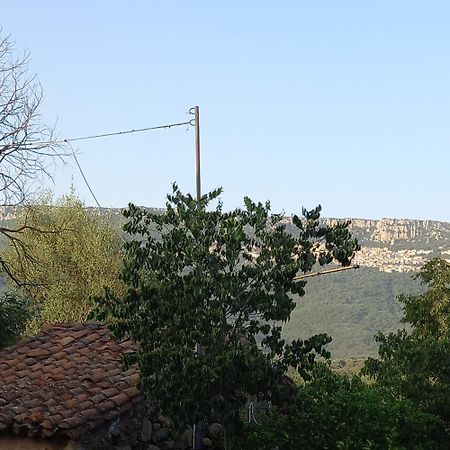 Appartamento Affitto Bilocale 4 Posti Letto Ardali-Ogliastra Esterno foto
