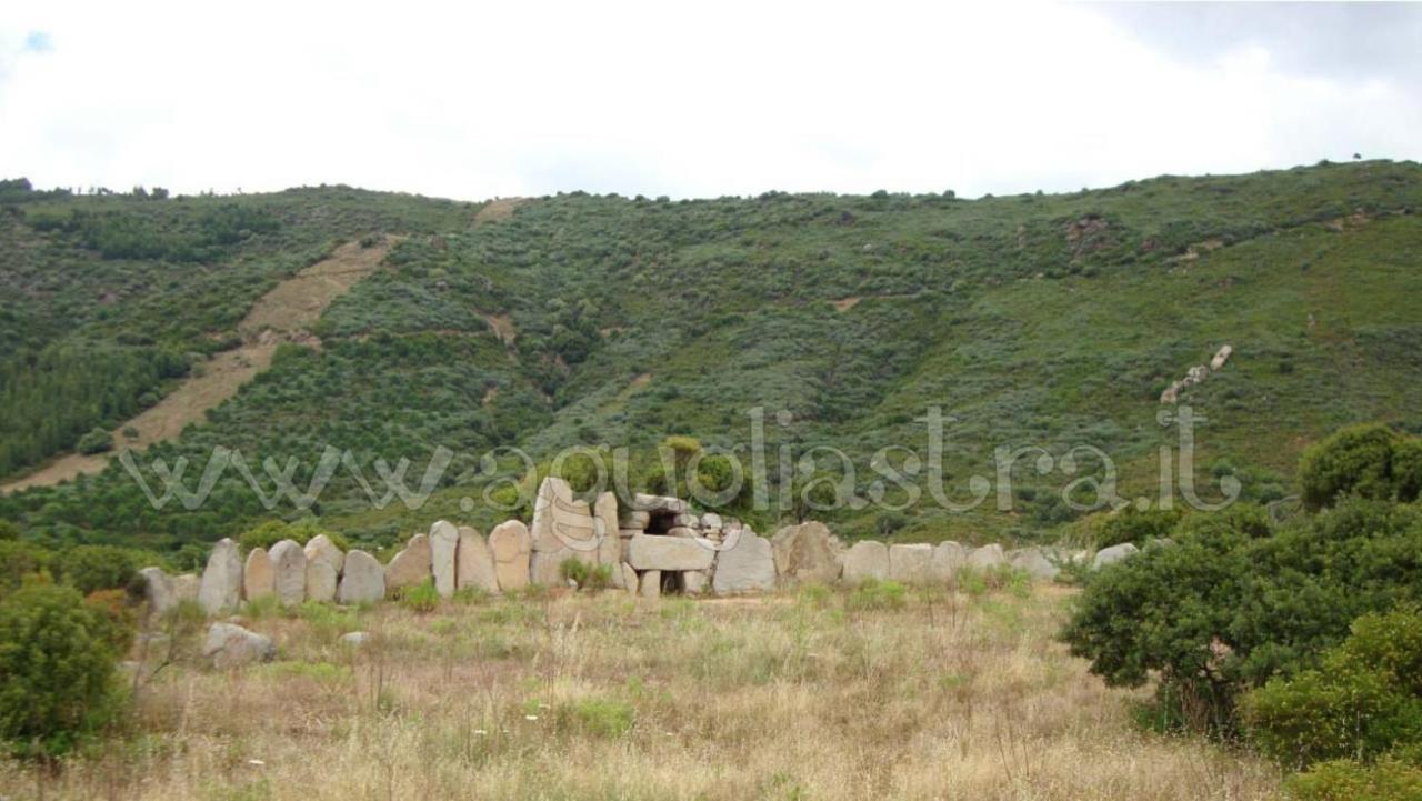 Appartamento Affitto Bilocale 4 Posti Letto Ardali-Ogliastra Esterno foto