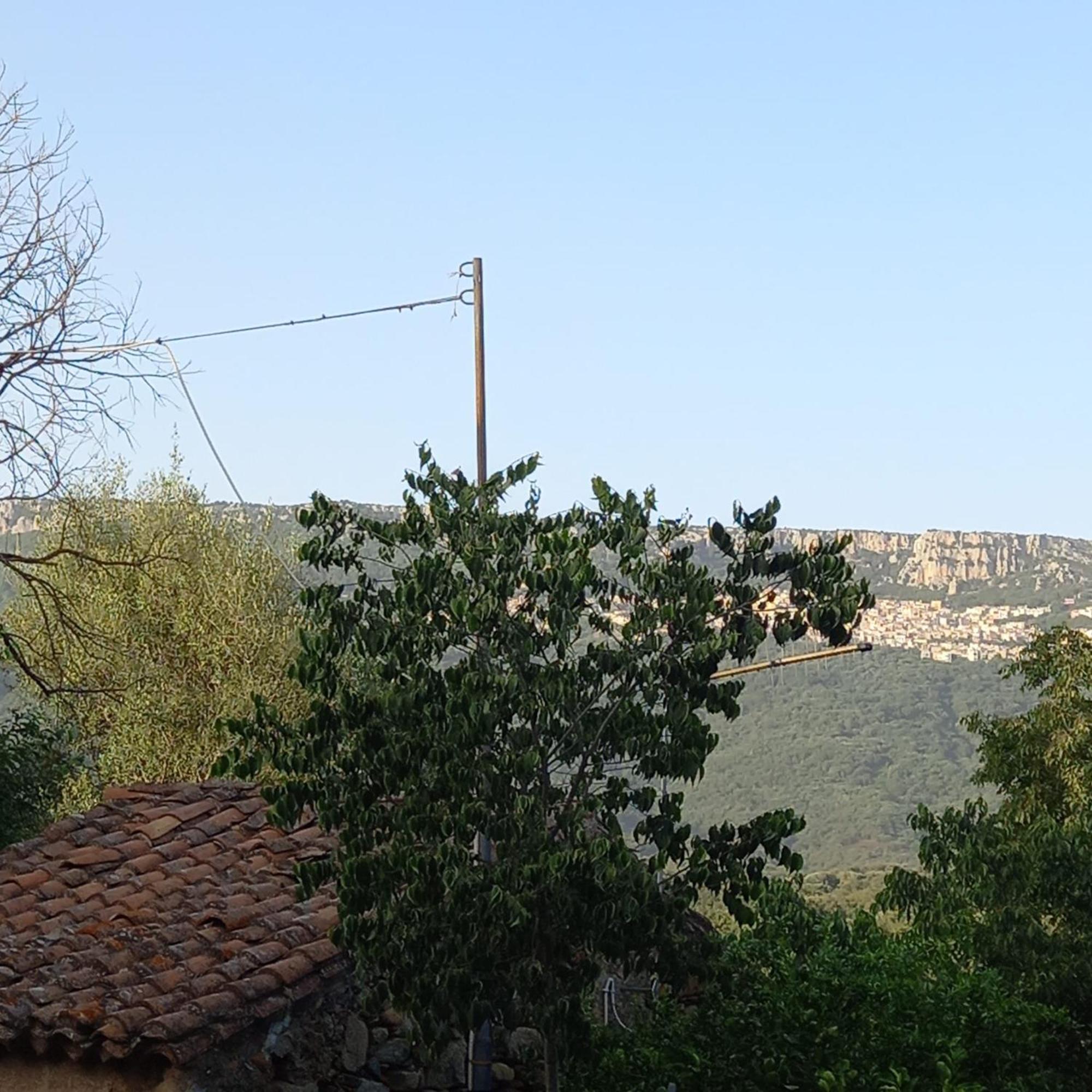 Appartamento Affitto Bilocale 4 Posti Letto Ardali-Ogliastra Esterno foto